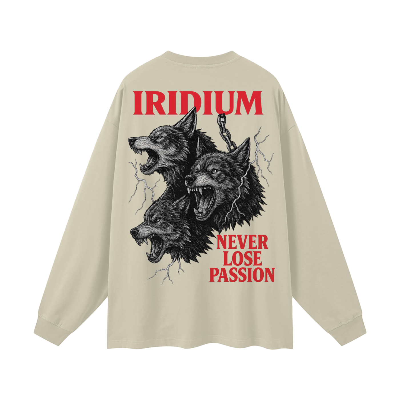 Taming Chaos Long Sleeve T-Shirt