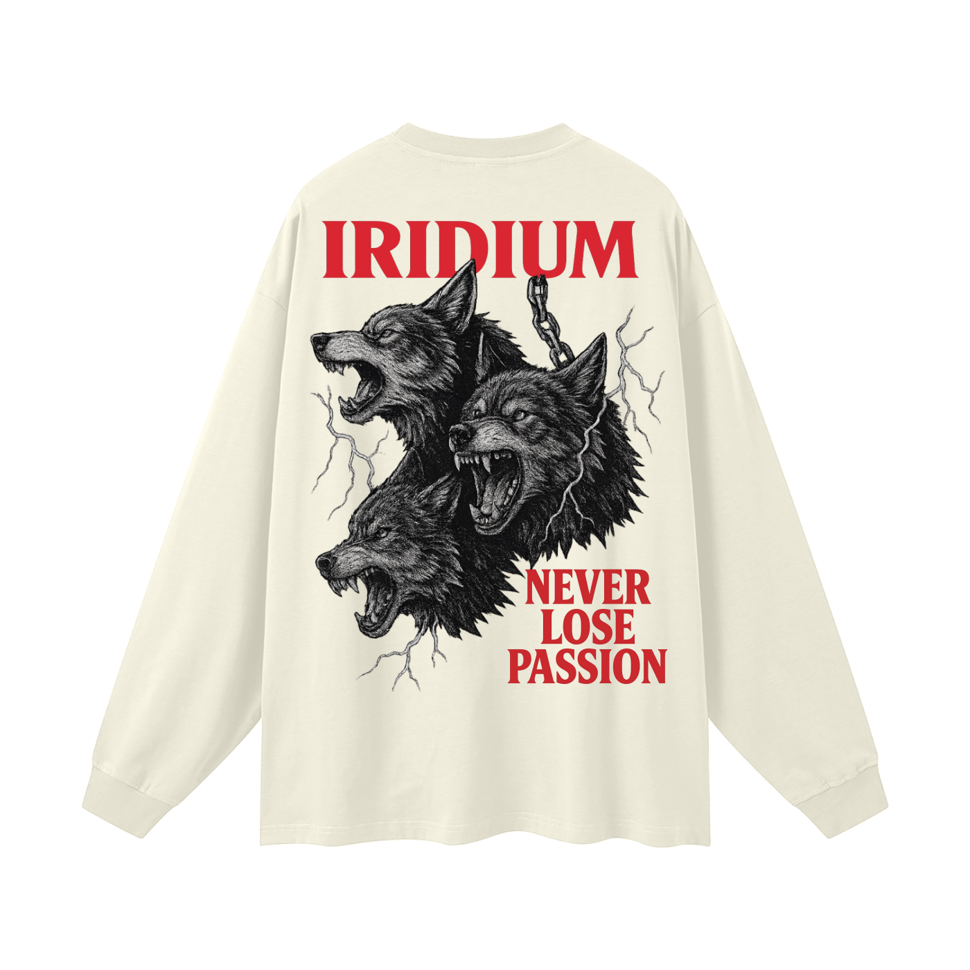 Taming Chaos  Long Sleeve T-Shirt