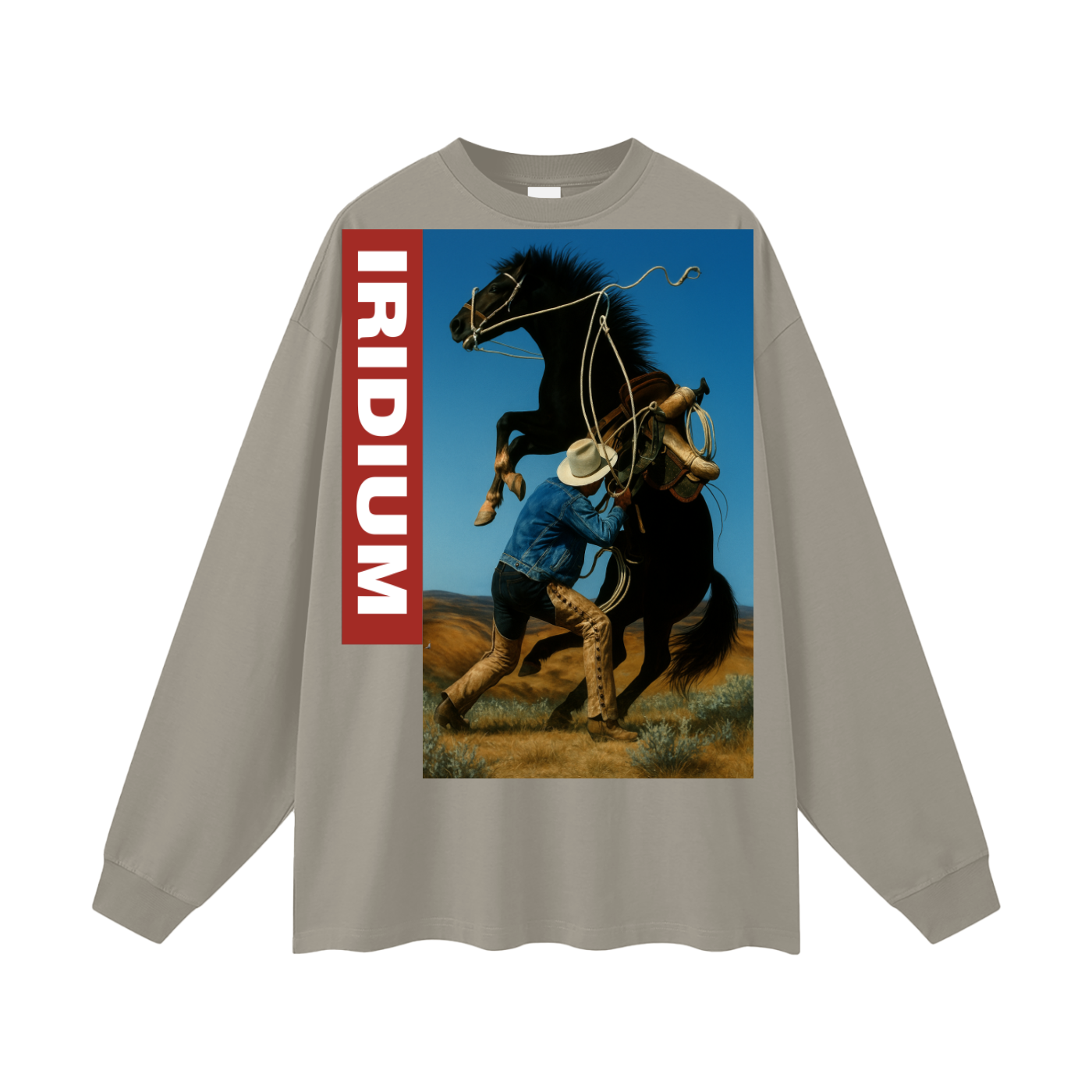 Taming Chaos  Long Sleeve T-Shirt