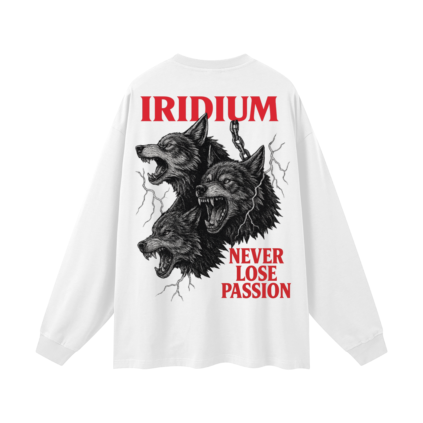 Taming Chaos  Long Sleeve T-Shirt