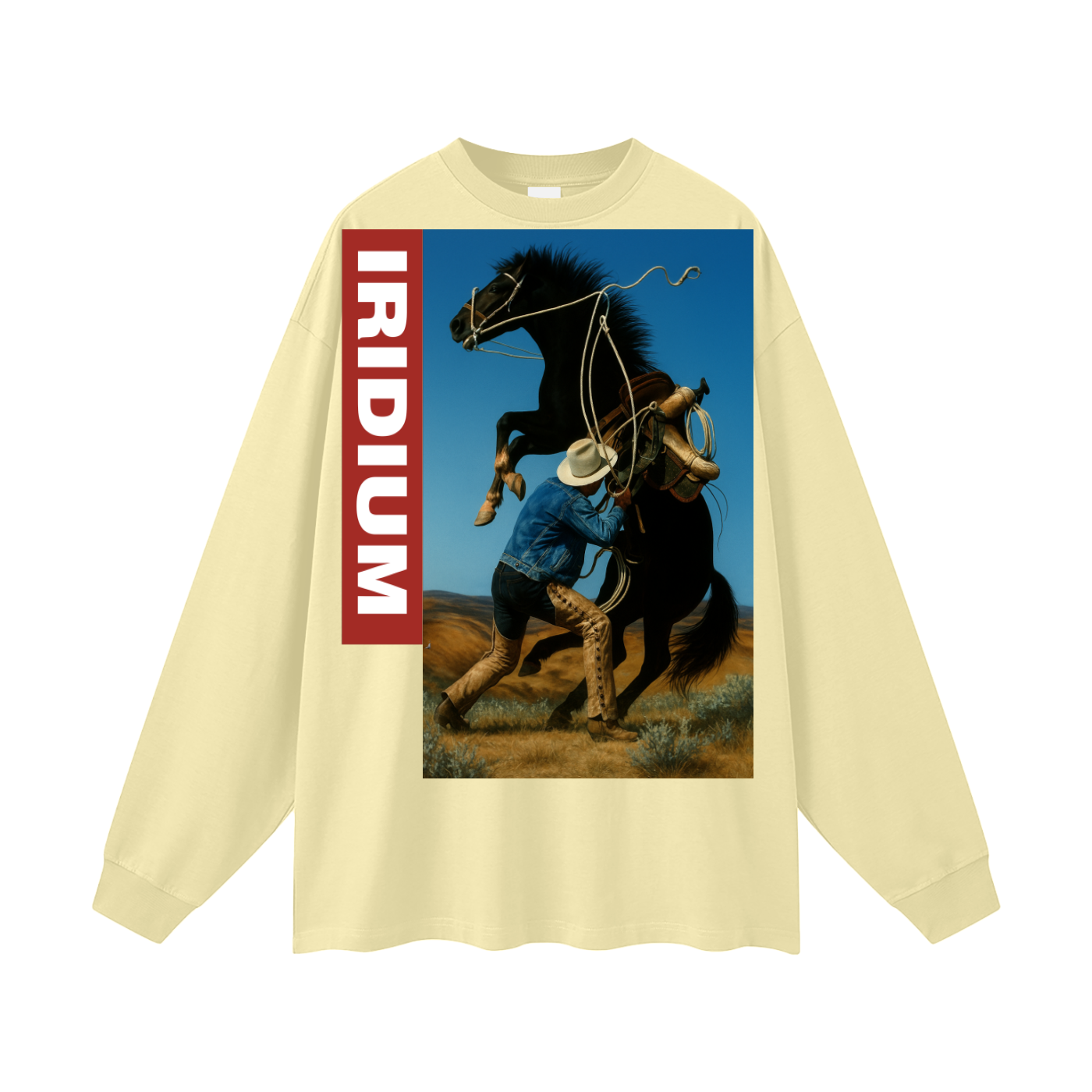 Taming Chaos  Long Sleeve T-Shirt