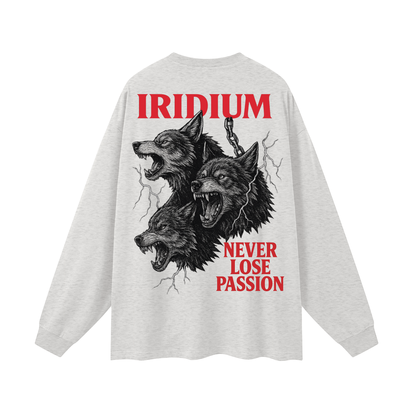 Taming Chaos  Long Sleeve T-Shirt