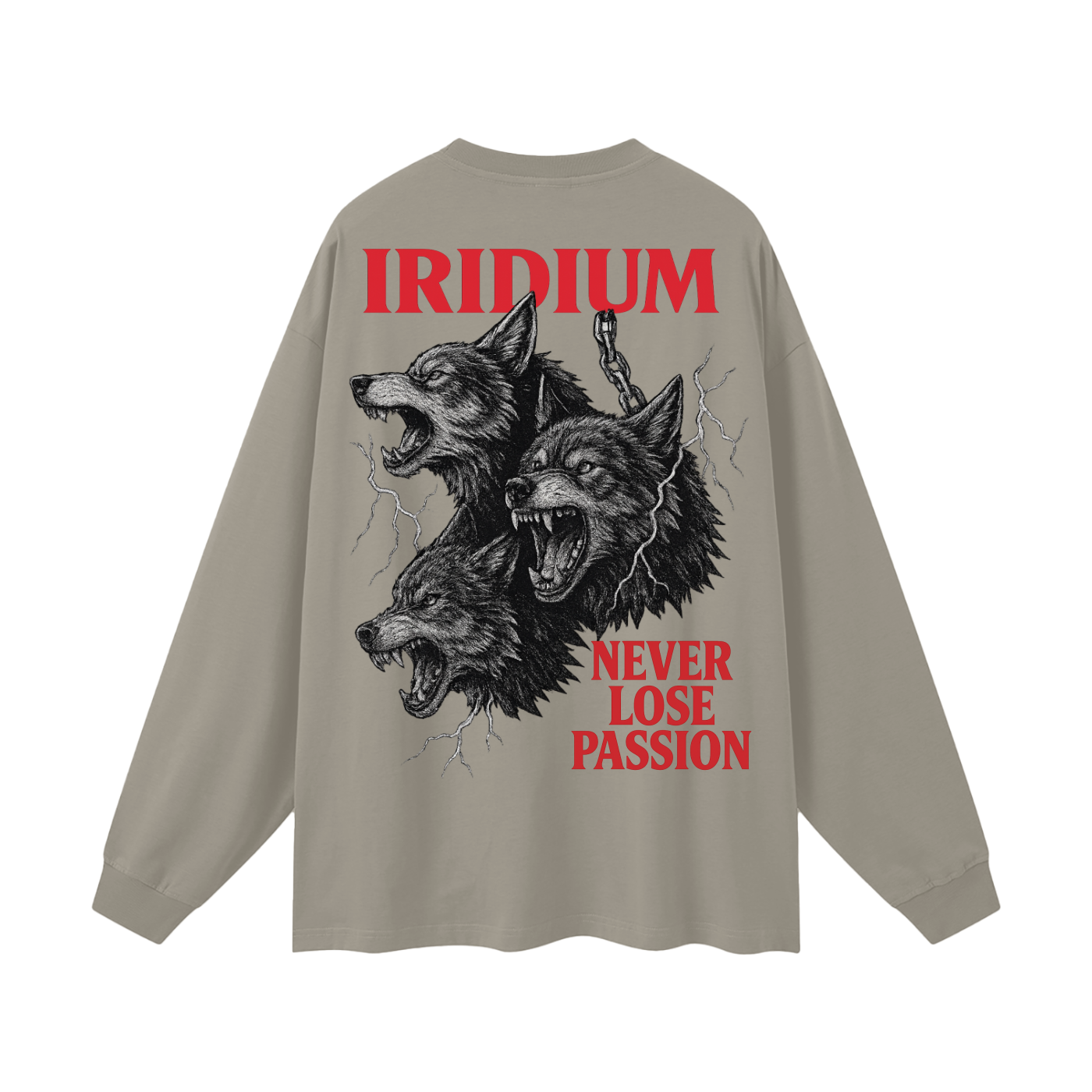 Taming Chaos  Long Sleeve T-Shirt