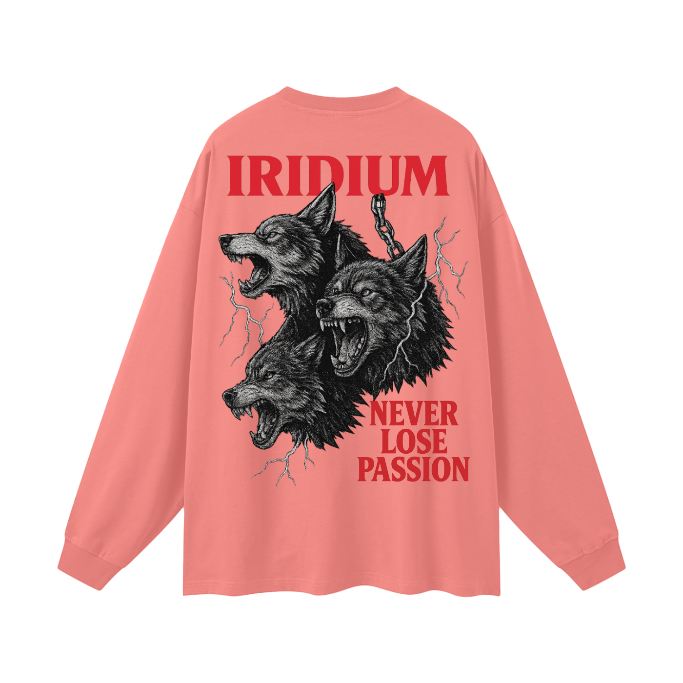 Taming Chaos  Long Sleeve T-Shirt