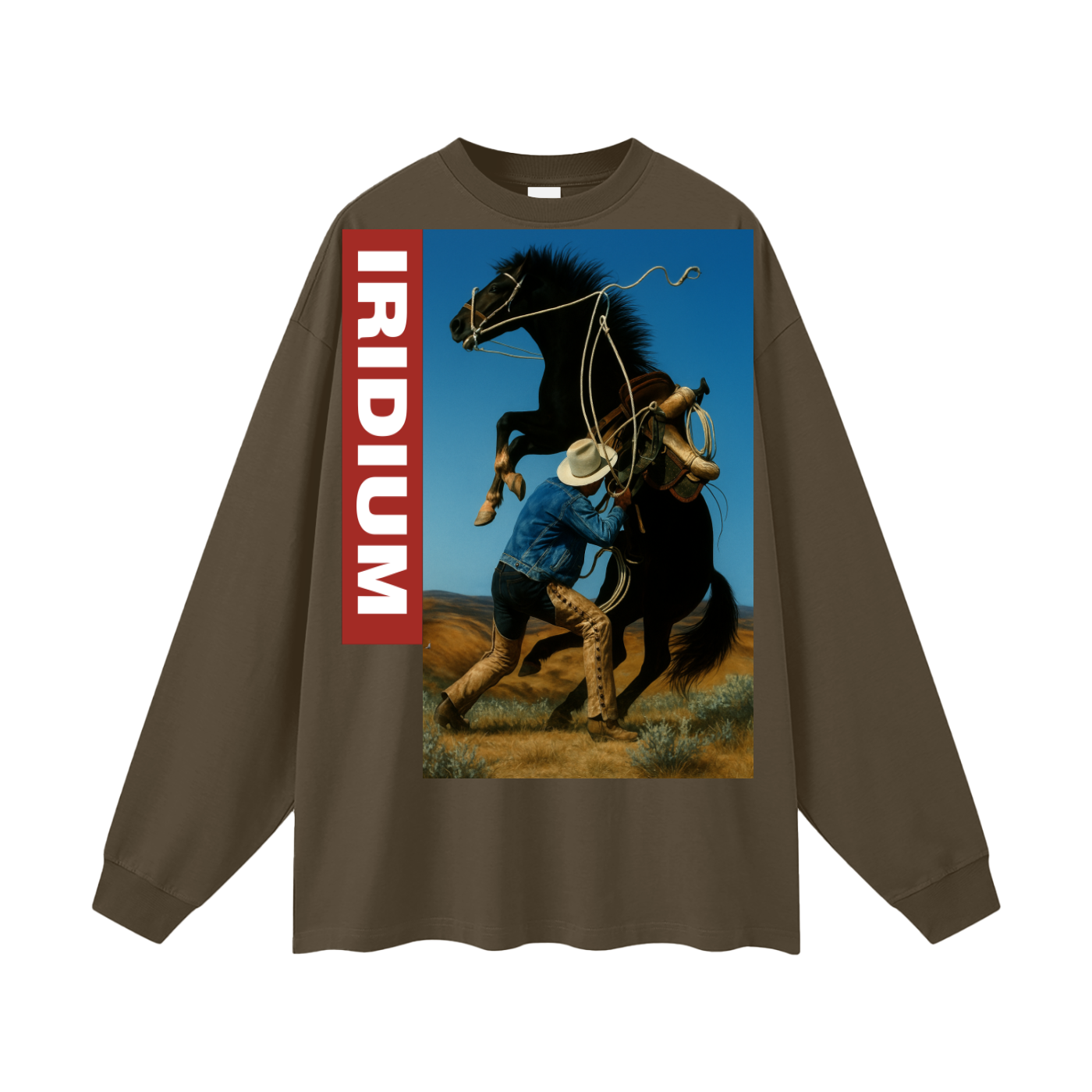 Taming Chaos  Long Sleeve T-Shirt