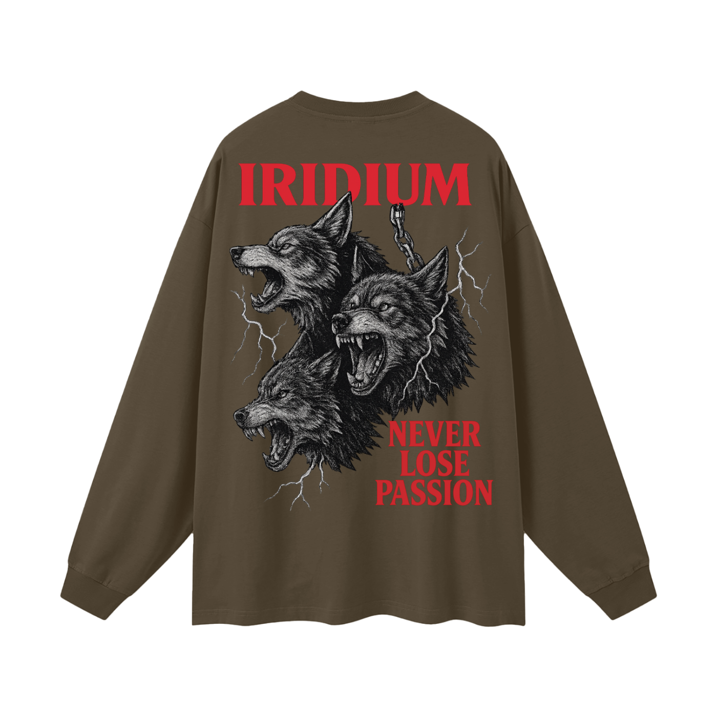 Taming Chaos  Long Sleeve T-Shirt