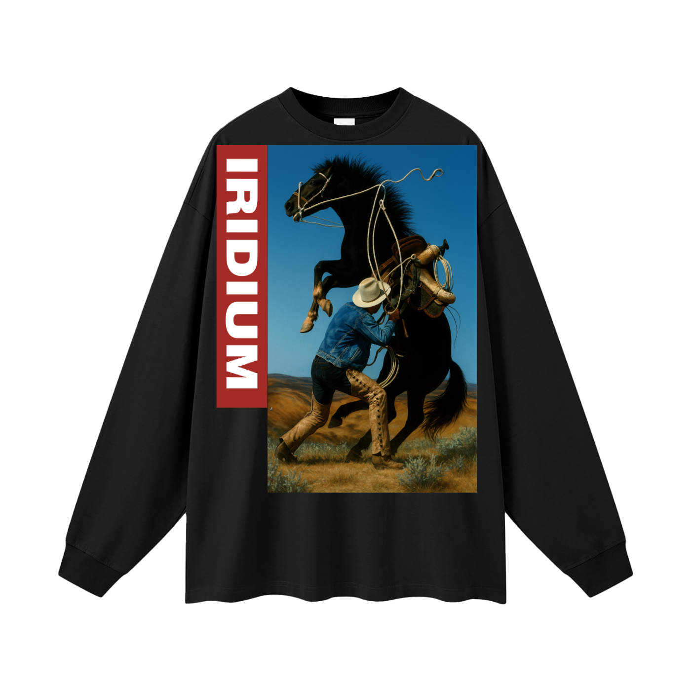 Taming Chaos  Long Sleeve T-Shirt
