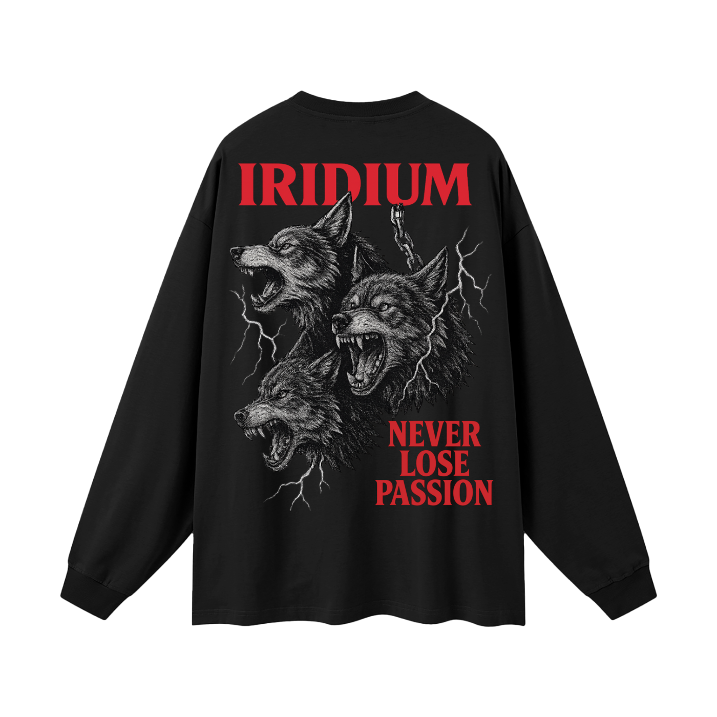 Taming Chaos  Long Sleeve T-Shirt