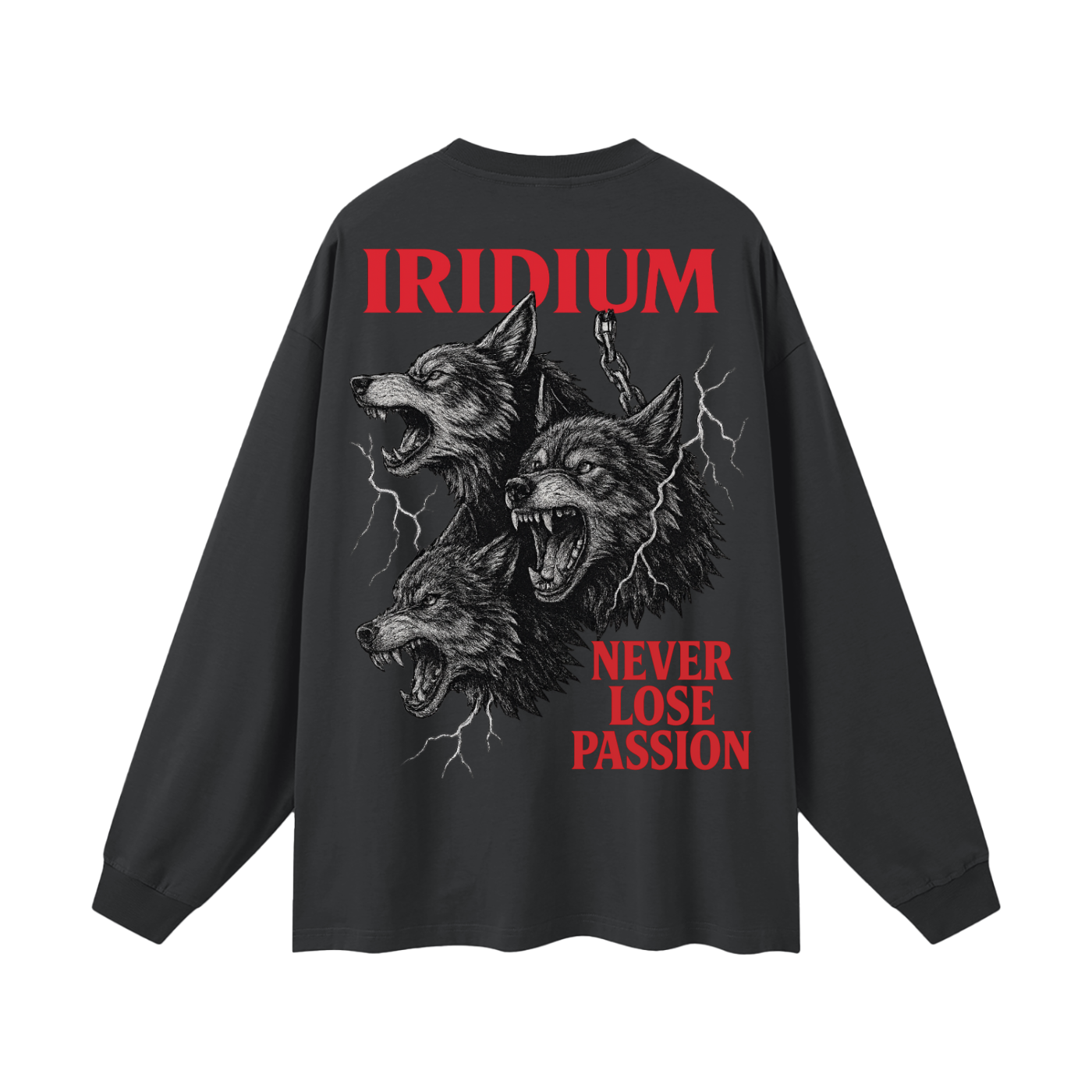 Taming Chaos  Long Sleeve T-Shirt