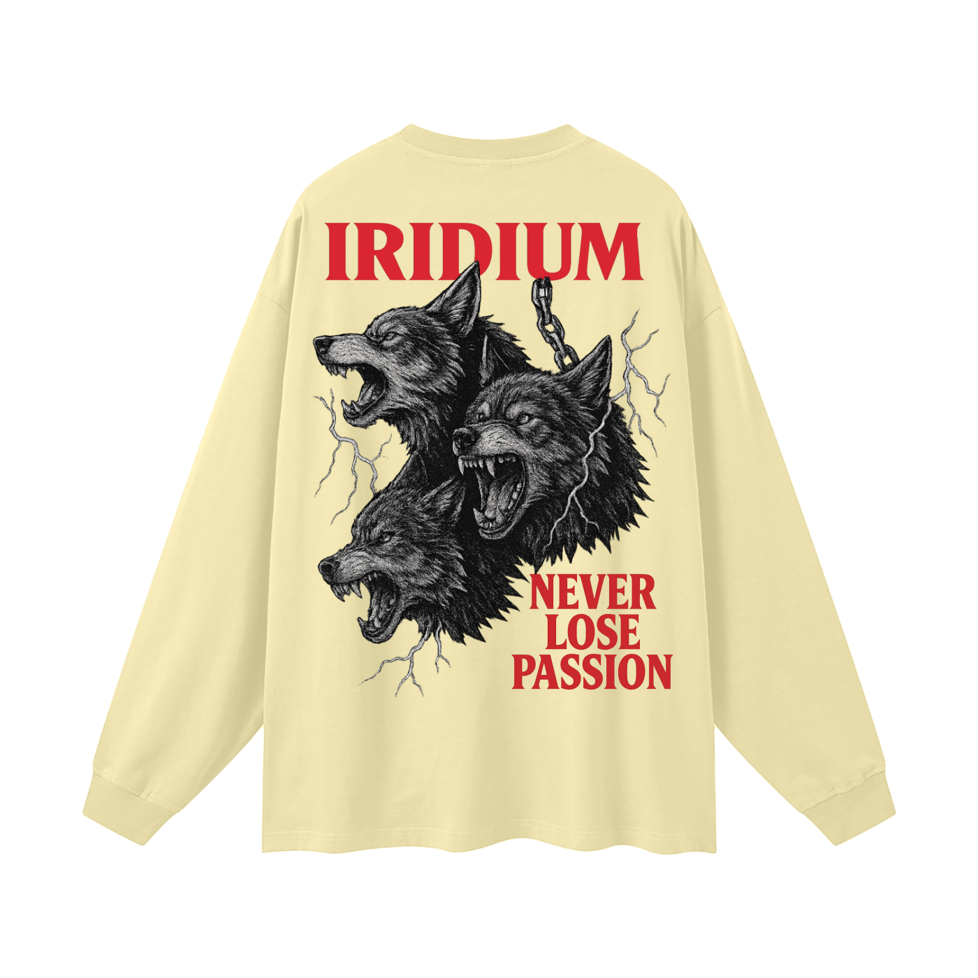 Taming Chaos  Long Sleeve T-Shirt