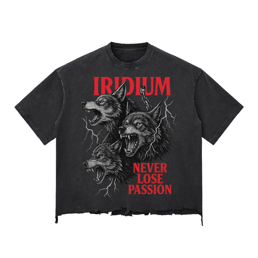 Wolves Stone Wash Raw-Hem Boxy T-shirt