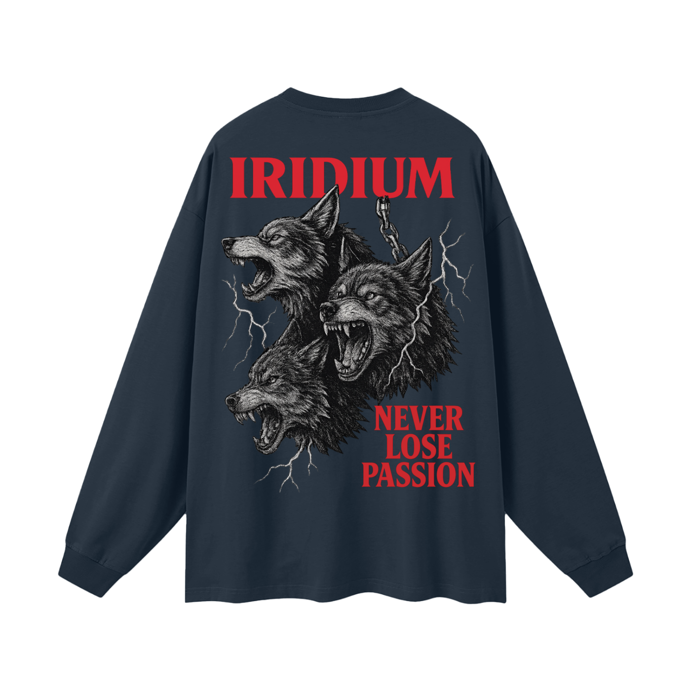 Taming Chaos  Long Sleeve T-Shirt